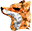 fox color